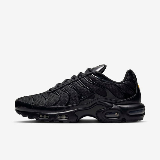 Nike air max plus (black)