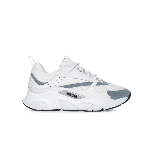 Dior B22 'White Grey'